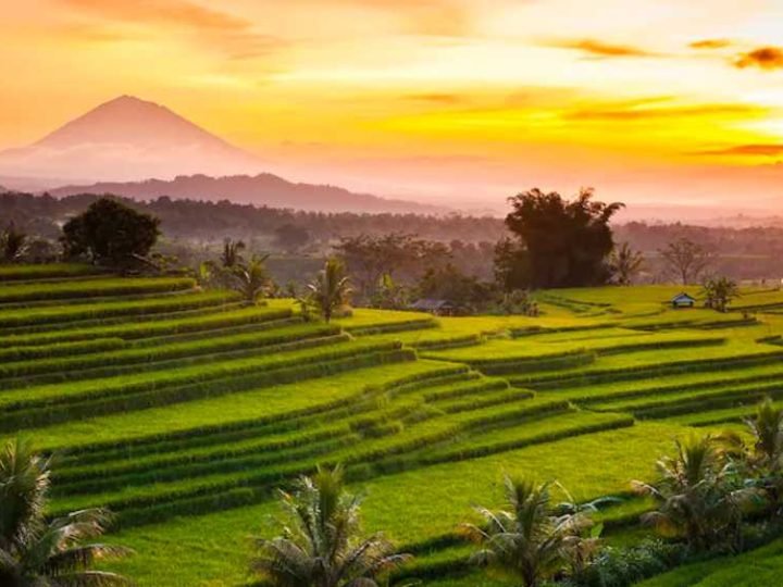 North to West — Nature & Sunset Healing